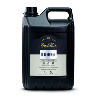 INTERIORES MULTILIMPADOR ALCALINO 5L