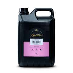 TOP CERA LIQUIDA 5L